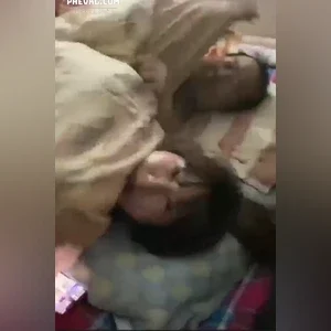 Bắt quả tang tại trận bố ck con dâu chịch nhau tại nhà
