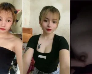 Thỏ xinh 2k4